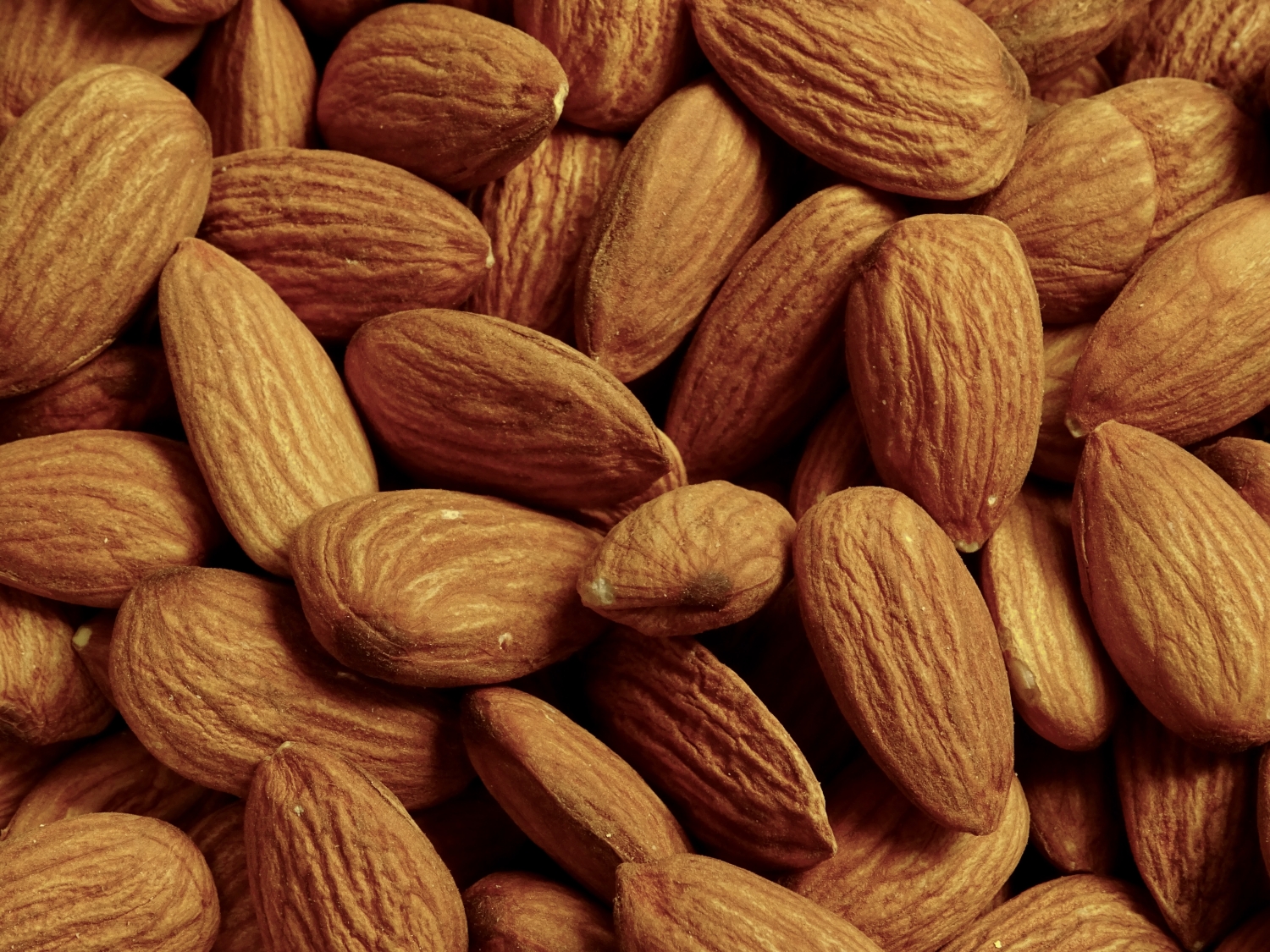 Zoom in on a load of almonds